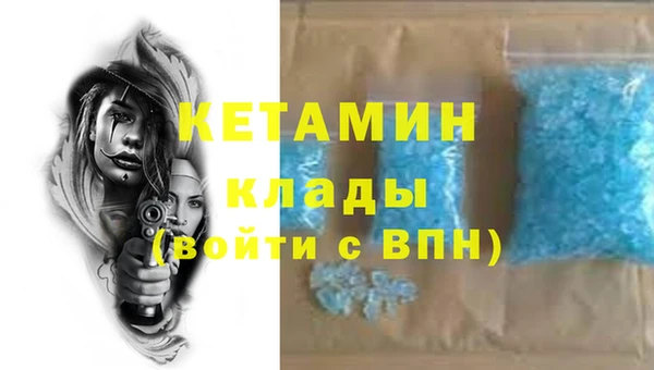 крисы Баксан
