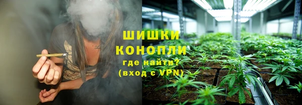 крисы Баксан
